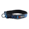 Roam Collar | blue