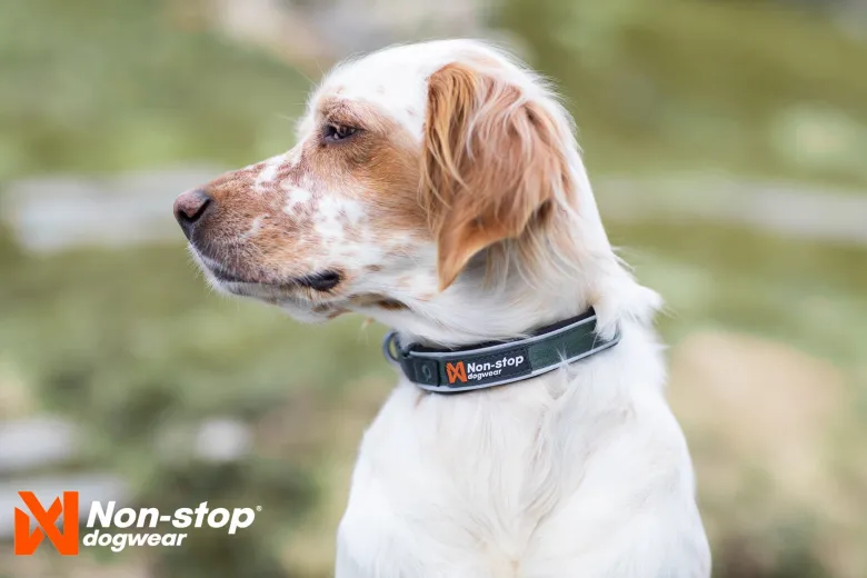 Roam Collar | green