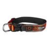 Roam Collar | orange