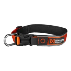 Roam Collar | orange