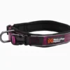 Roam Collar | purple