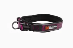 Roam Collar | purple