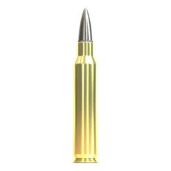 Screen-ammo