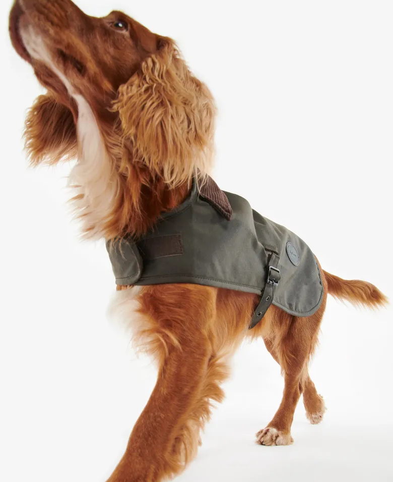 Slykoil Wax Dog Coat | Olive