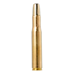 Solid | Ammunition