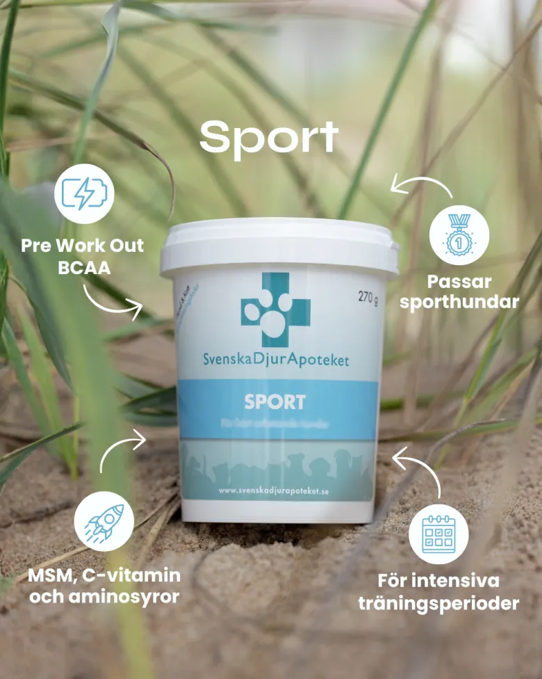 Sport