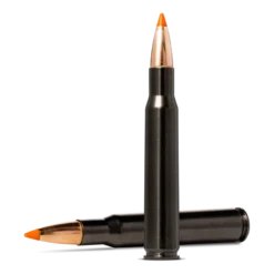 Tipstrike Silencer | Ammunition