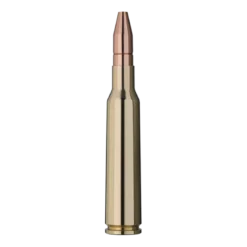 Twin Core | Ammunition