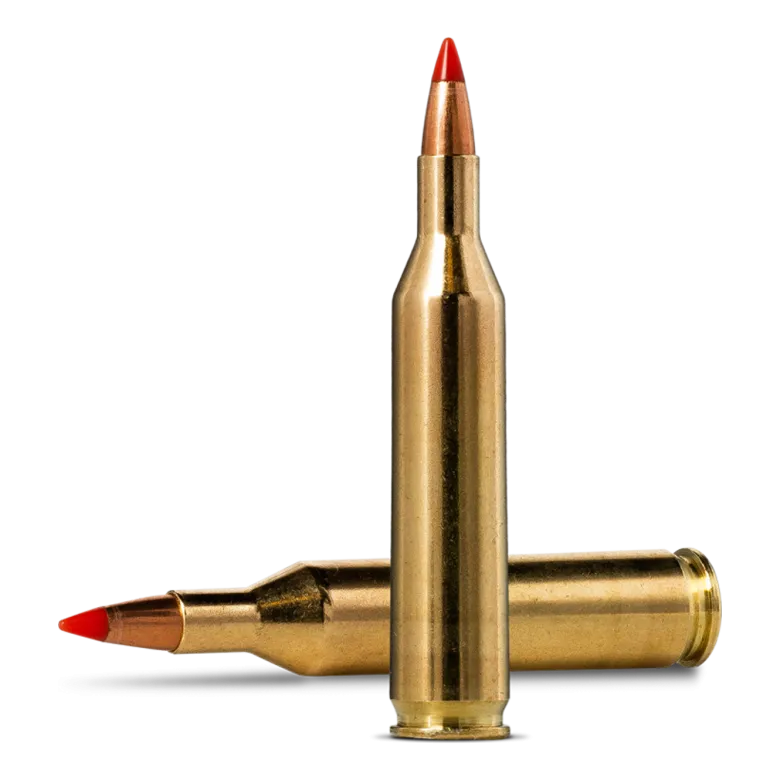 V-Max | Ammunition