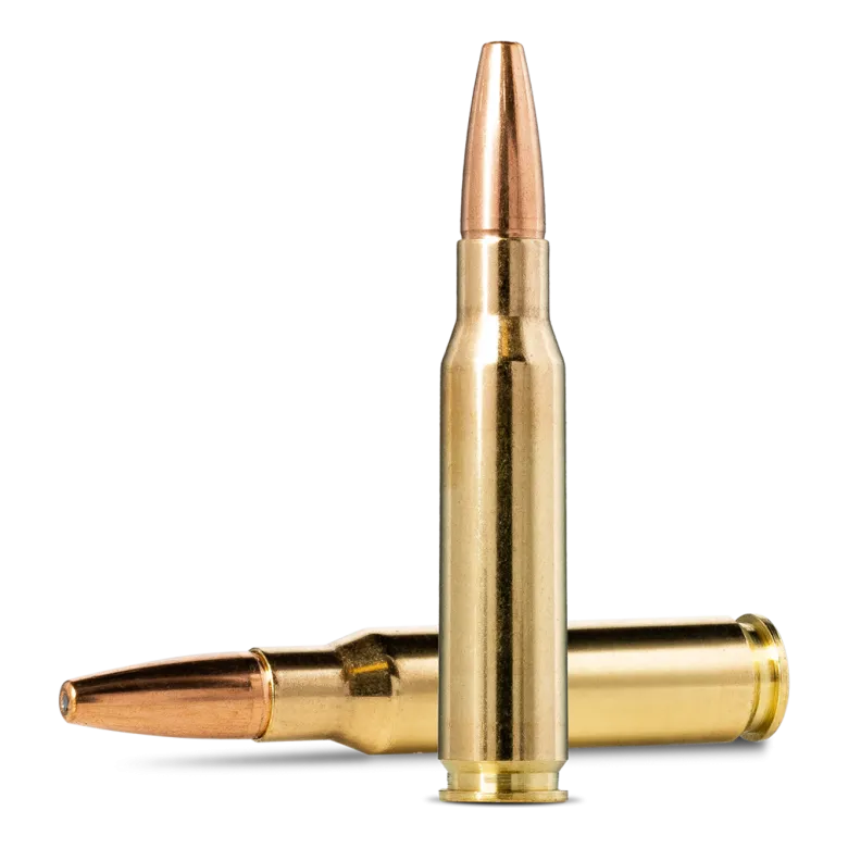 Vulkan | Ammunition