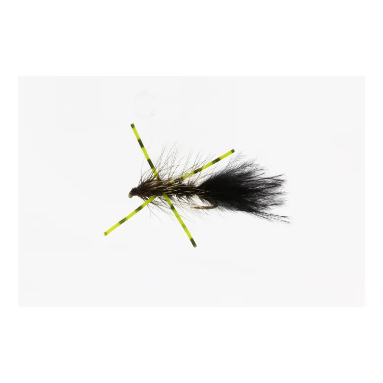 X-Fly Kamasan