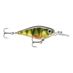 X-Light Shad